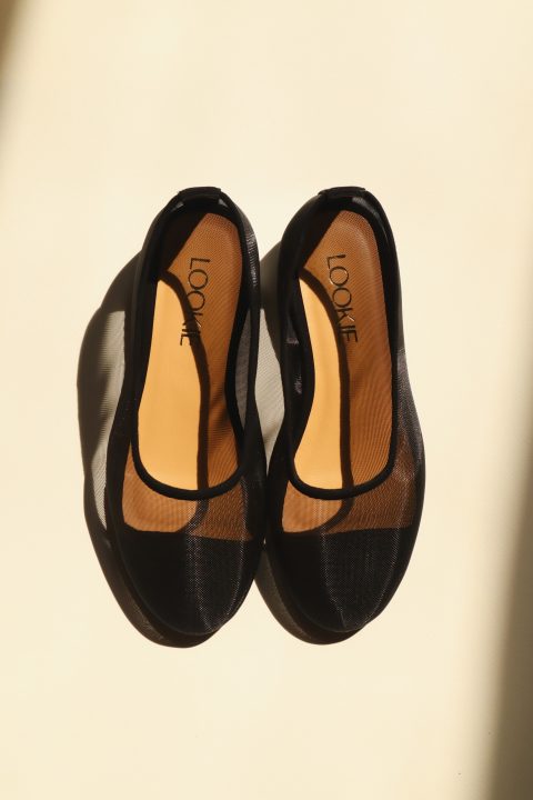 Mariyka mesh ballet flats